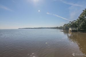 Image 50 - 305965