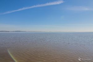 Image 44 - 305965