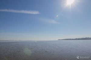 Image 41 - 305965