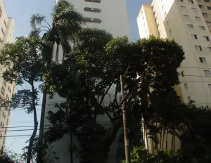Image 0 - 28300