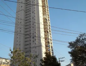 Image 5 - 893037