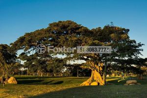 Image 8 - 167181