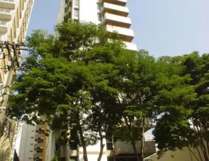Image 30 - 887581