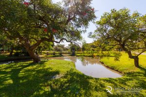 Image 59 - 869572