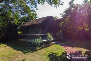 Image 66 - 869572