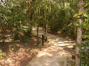 Image 13 - 3261