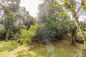 Image 71 - 850188
