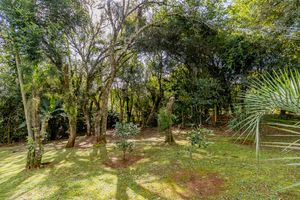 Image 93 - 850188