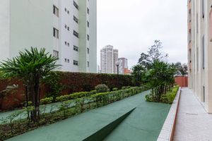 Image 59 - 891917