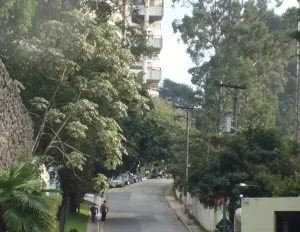 Image 67 - 763301