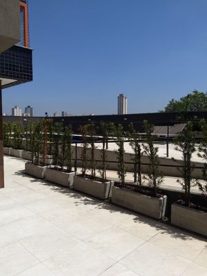 Image 11 - 34248