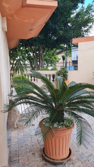 Image 10 - 35655