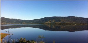 Image 4 - 3595