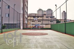 Image 52 - 336247