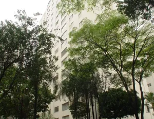 Image 39 - 316838