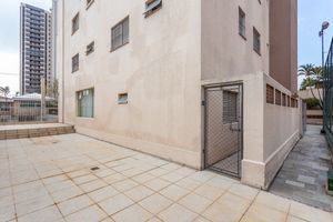 Image 60 - 883521