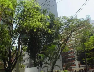 Image 20 - 857772