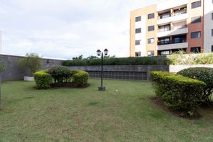 Image 13 - 37596