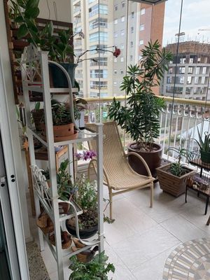 Image 15 - 37687