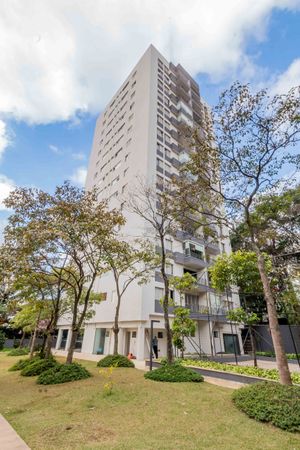 Image 31 - 328564