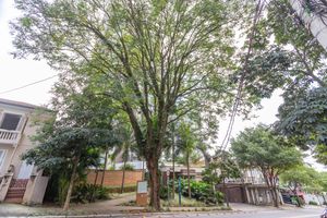 Image 40 - 863975