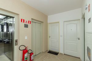 Image 35 - 894646