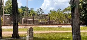 Image 3 - 3951