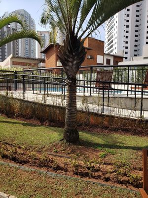 Image 56 - 925046