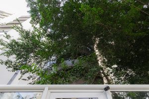 Image 58 - 873454