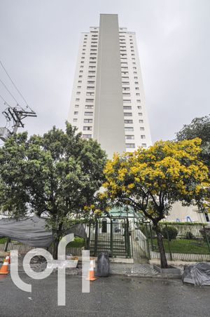 Image 61 - 321062