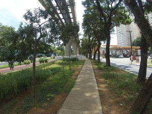 Image 46 - 889561