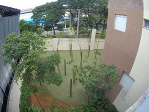 Image 57 - 889561