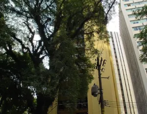Image 31 - 920721