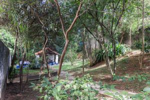 Image 37 - 876526