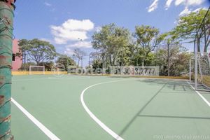 Image 8 - 4239