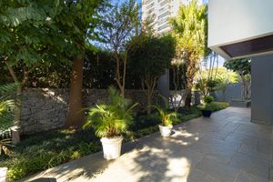 Image 5 - 42569