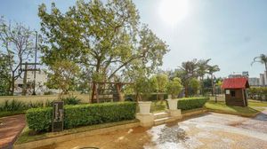 Image 16 - 43440