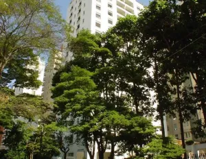 Image 10 - 588485