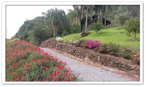 Image 0 - 4399