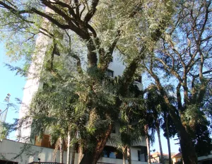 Image 57 - 924321