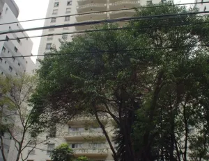 Image 55 - 329297