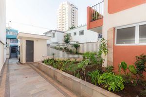Image 37 - 876517