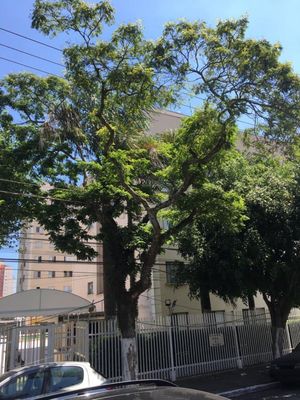 Image 7 - 45207