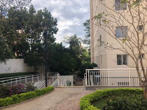 Image 36 - 892243