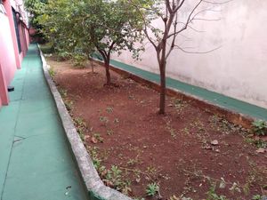 Image 26 - 45967