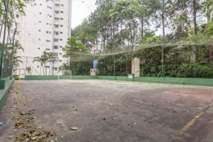 Image 55 - 327537