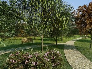 Image 13 - 47248