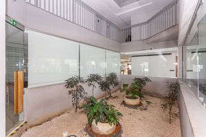Image 40 - 315349
