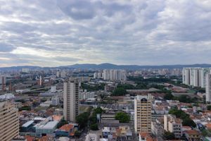 Image 36 - 315868