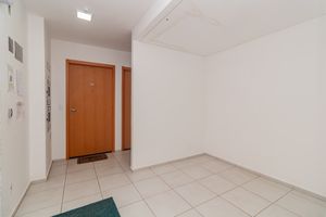 Image 29 - 559834